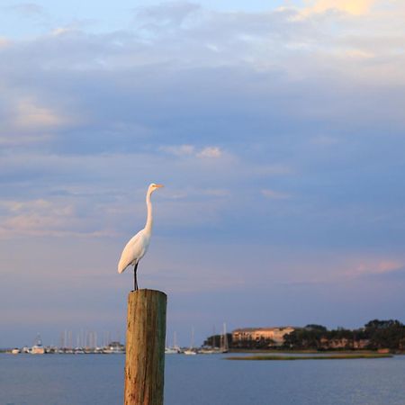 Stoney Creek Villa 299 Hilton Head Island Εξωτερικό φωτογραφία