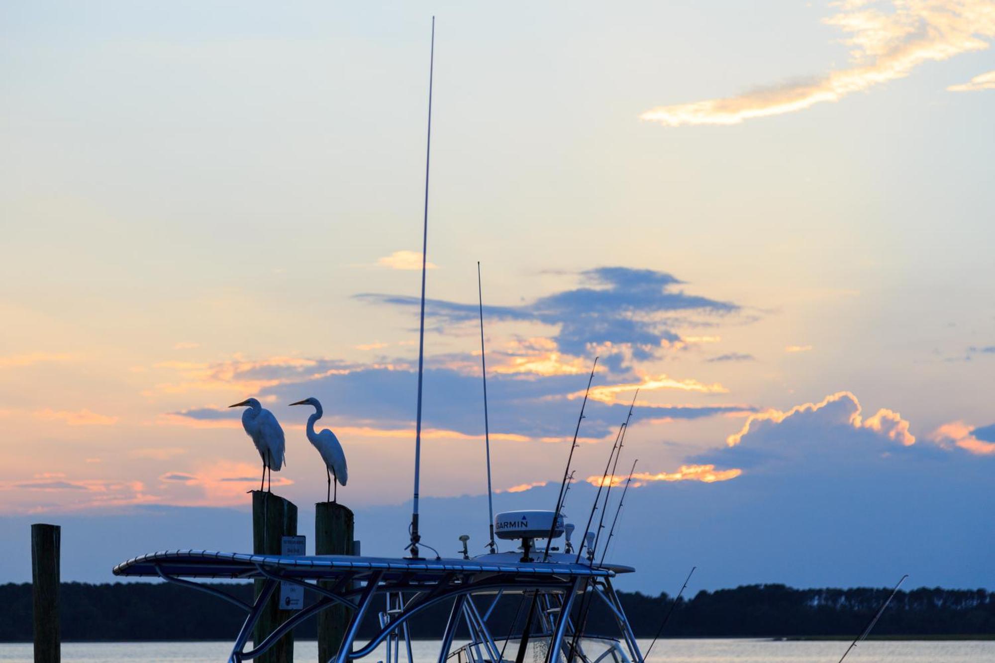 Stoney Creek Villa 299 Hilton Head Island Εξωτερικό φωτογραφία