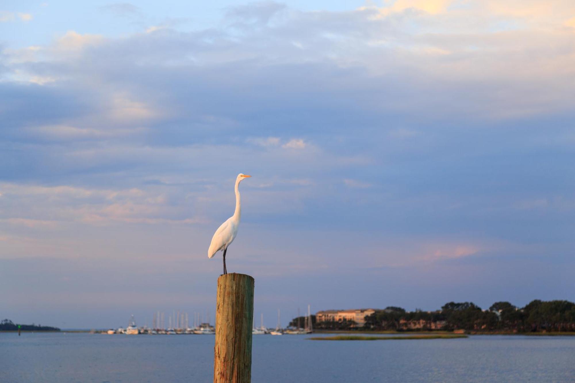 Stoney Creek Villa 299 Hilton Head Island Εξωτερικό φωτογραφία