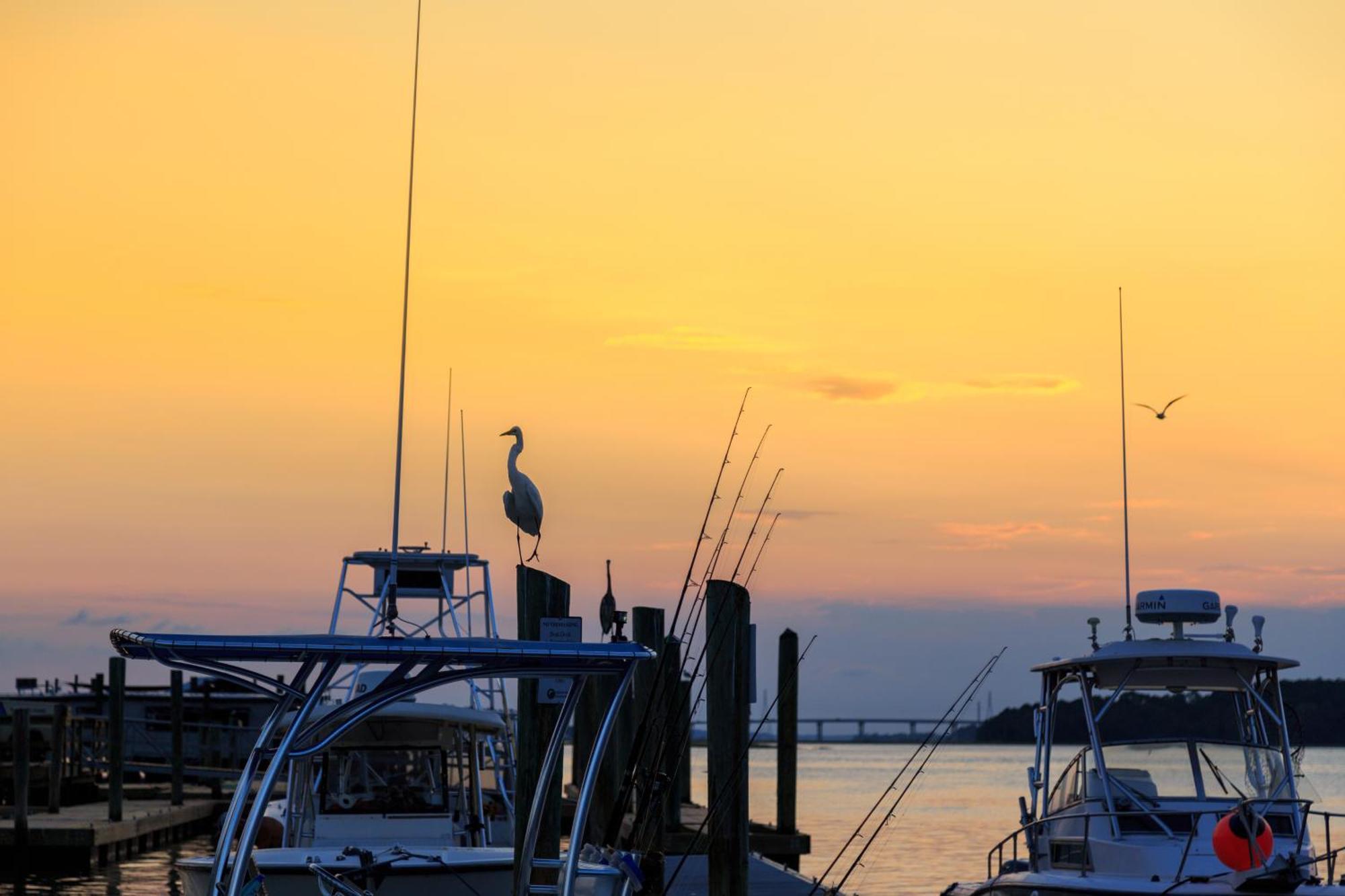 Stoney Creek Villa 299 Hilton Head Island Εξωτερικό φωτογραφία